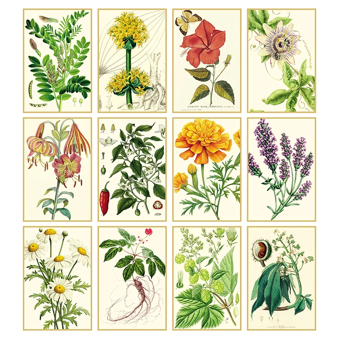 calendario-erboristeria-1.webp