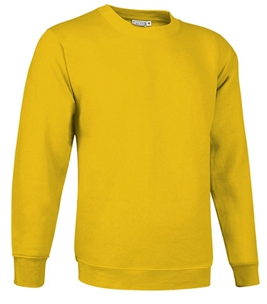 Immagine Felpa DUBLIN Val | 65% POL+35%COT | 300 g/m personalizzata con stampa o ricamo