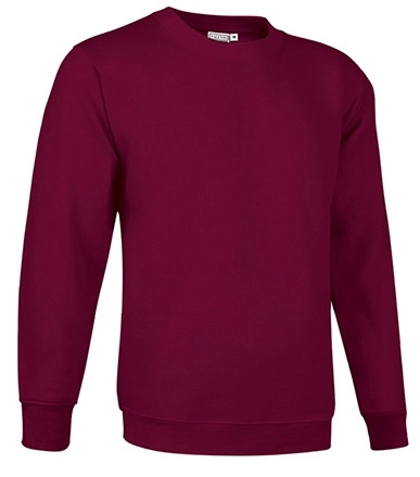 Immagine Felpa DUBLIN Val | 65% POL+35%COT | 300 g/m personalizzata con stampa o ricamo
