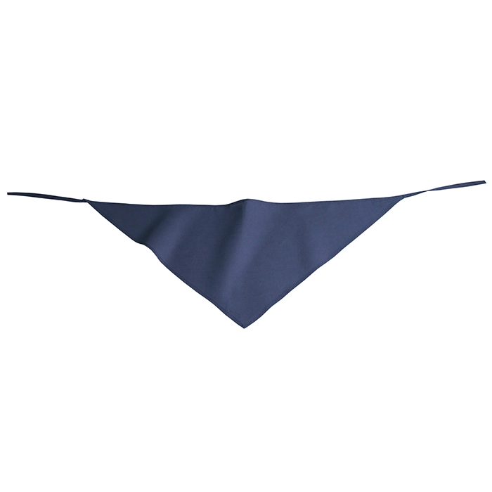 bandana-harley-blu-2.webp