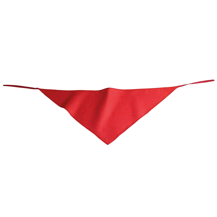 bandana-harley-rosso-5.webp