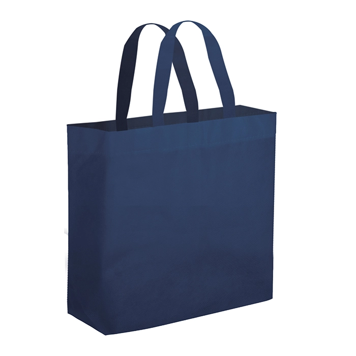 shopper-divine-blu-2.webp