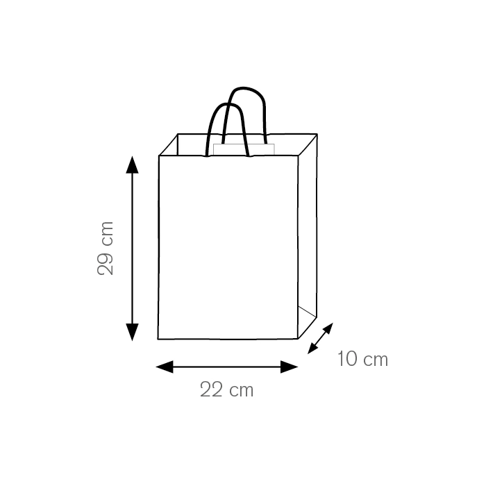 shopper-in-carta-22x29x10cm-pg035-5.webp