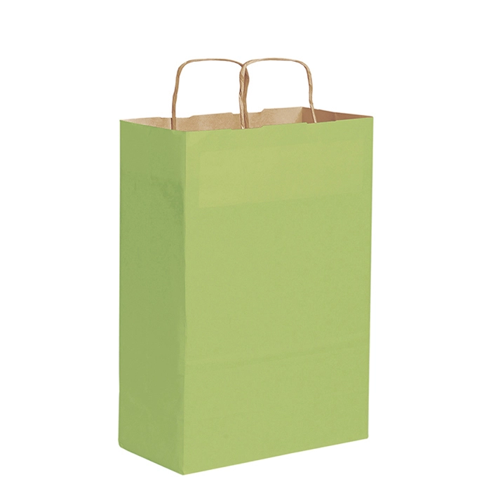 shopper-in-carta-28x39x10cn-verde-4.webp
