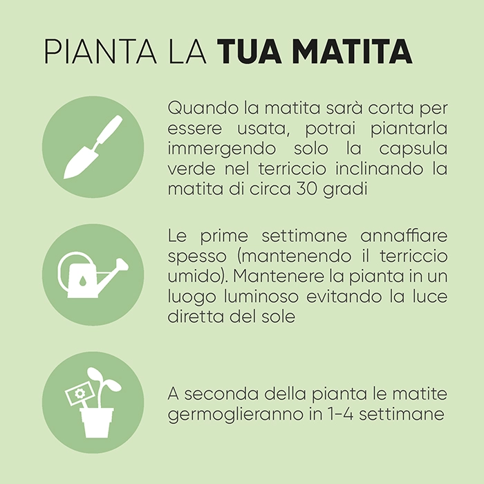 matita-fluwood-1.webp