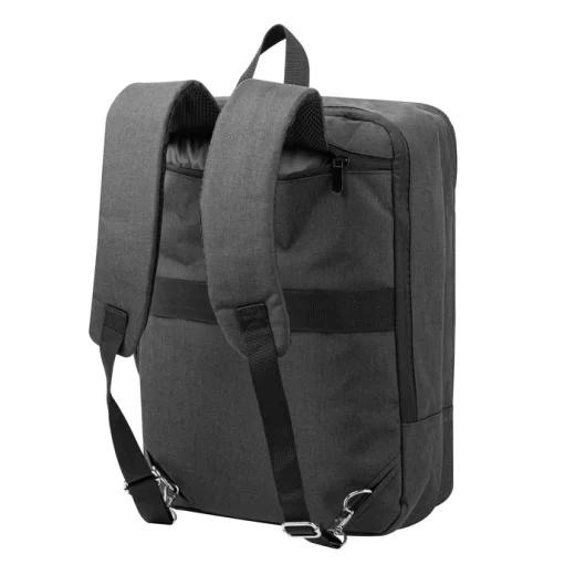 carry-7.webp