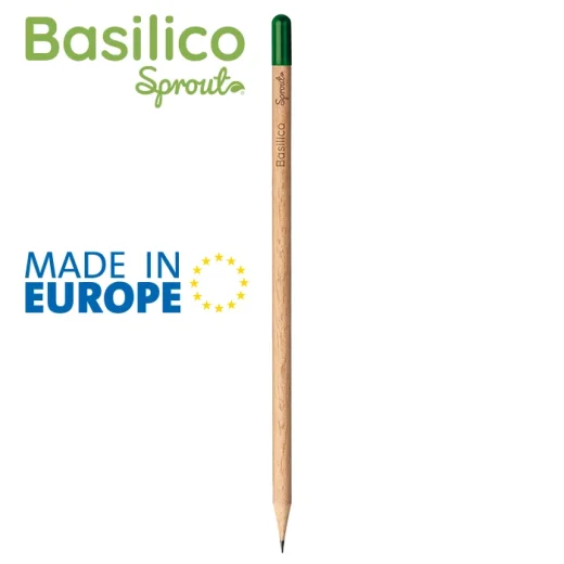 basilico-colore-unico-3.webp