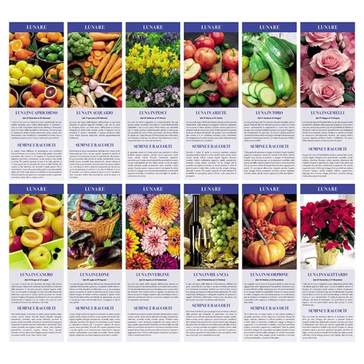 orto-e-giardino-1.webp