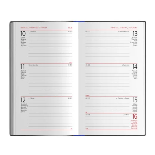 printflex-settimanale-11.webp