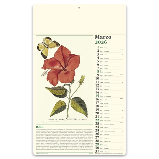 calendario-erboristeria-10.webp