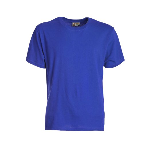 kids-classic-t-shirt-royal-blue.webp
