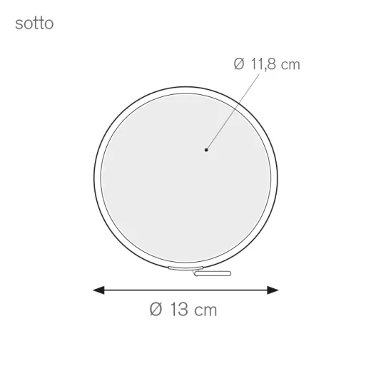 rolly-5.webp