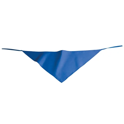 bandana-harley-royal-7.webp