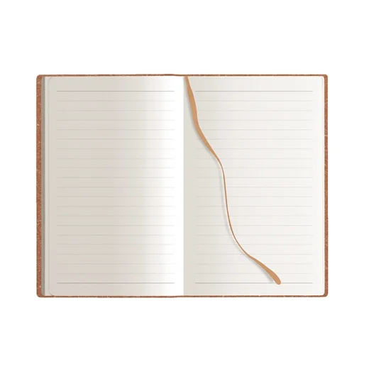notes-thermo-paper-6.webp