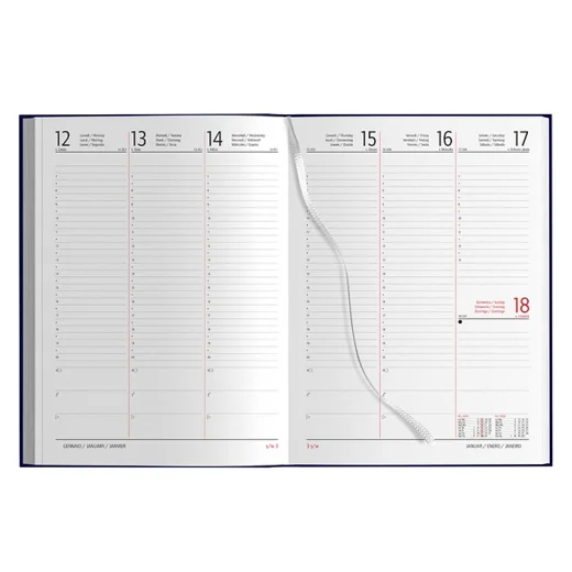 agenda-settimanale-maxi-2.webp